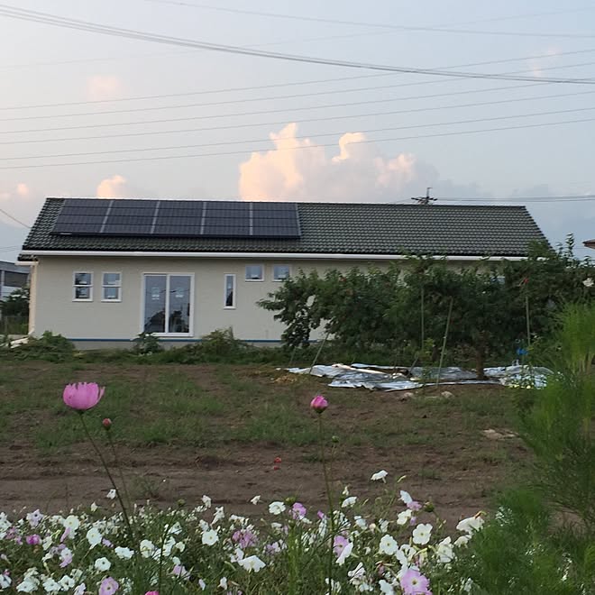 白い窓枠 平屋 白の外壁のインテリア実例 15 09 01 21 15 31 Roomclip ルームクリップ