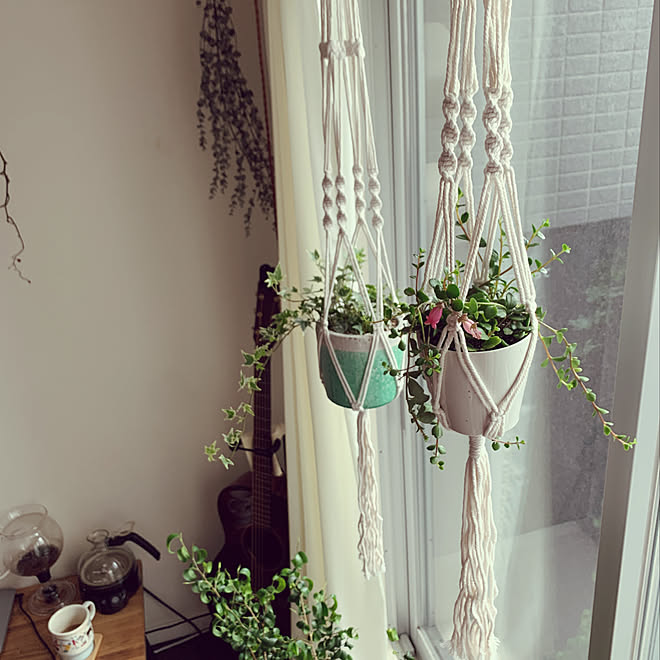 ナチュラル ギターのある部屋 カランコエ フィフィ 照明 一人暮らし などのインテリア実例 04 12 14 01 08 Roomclip ルームクリップ