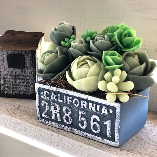 棚 これから着色 樹脂粘土の多肉植物 樹脂粘土 セリアの陶器 などのインテリア実例 18 08 21 15 17 09 Roomclip ルームクリップ