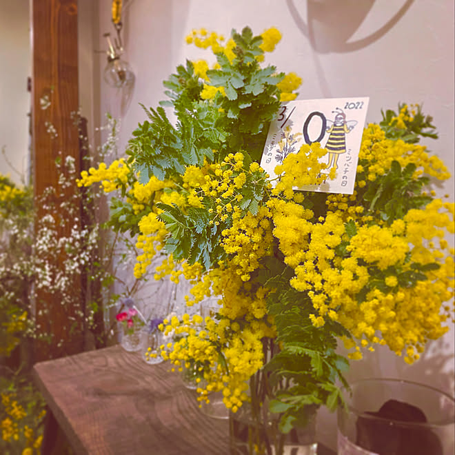 日めくりカレンダー 玄関インテリア 花のある暮らし はなかんざし 植物 玄関ホールインテリア などのインテリア実例 22 03 09 23 56 01 Roomclip ルームクリップ