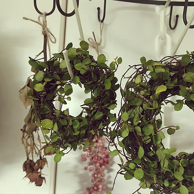 リース 手作り ワイヤープランツ ドライフラワーのある暮らし 壁 天井 わたしのハンドメイド 秋のインテリア実例 11 12 08 04 47 Roomclip ルームクリップ