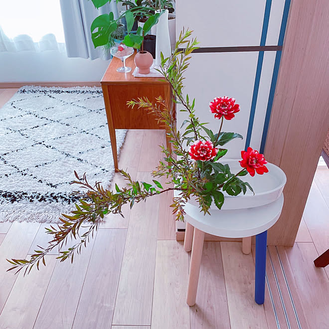 北欧インテリア ビンテージ家具 モンステラ 生け花のある暮らし 紅葉雪柳 などのインテリア実例 22 10 10 11 04 09 Roomclip ルームクリップ