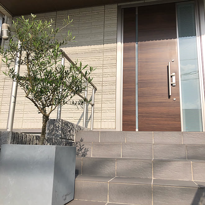 シンボルツリー キューブ鉢 オリーブ 06 30 玄関 入り口のインテリア実例 06 30 11 29 30 Roomclip ルームクリップ