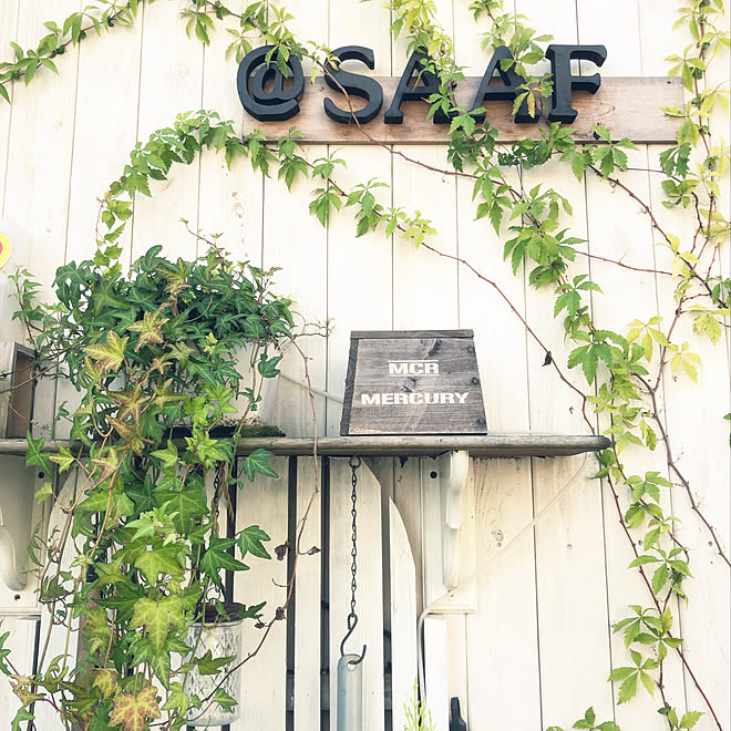 外壁板張り ツタ 観葉植物 玄関 入り口のインテリア実例 19 09 28 13 50 49 Roomclip ルームクリップ