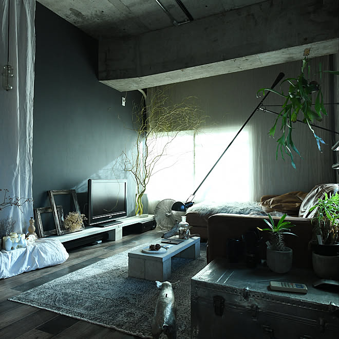部屋全体/雲竜柳/無骨さと甘さのMIX/一人暮らし/賃貸&hellip;などのインテリア実例 20190917 212840