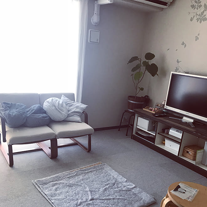 観葉植物 グレーインテリア サンゲツ タイルカーペット ウンベラータ などのインテリア実例 19 08 10 17 39 45 Roomclip ルームクリップ