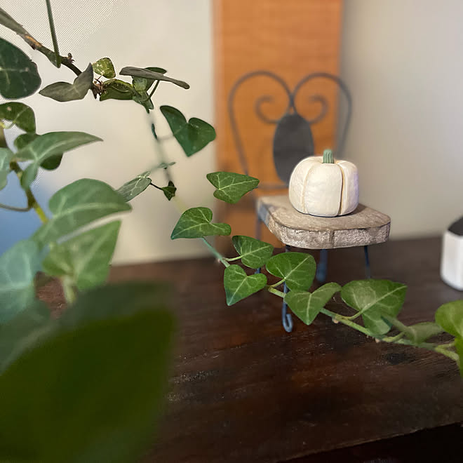 ハートアイビー ハロウィン カフェ風インテリア いいね ありがとうございます 観葉植物大好き などのインテリア実例 22 09 23 07 48 25 Roomclip ルームクリップ