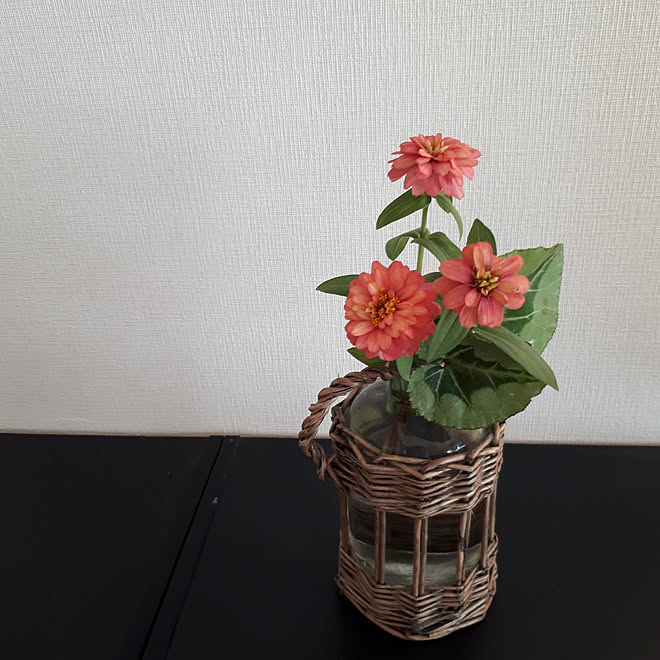 玄関 入り口 お花が大好き 秋 花瓶 ジニアのインテリア実例 10 14 12 33 43 Roomclip ルームクリップ 玄関 入り口 お花が大好き 秋 花瓶 ジニアのインテリア実例 10 14 12 33 43 Roomclip ルームクリップ