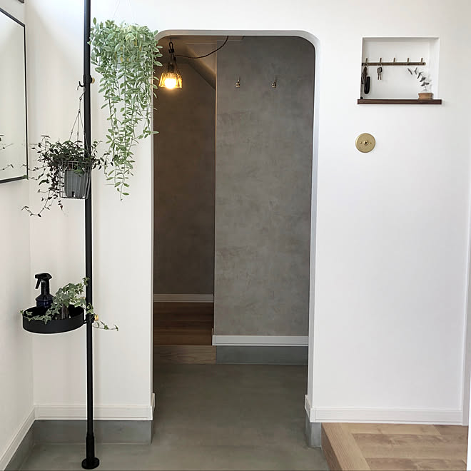 シューズクローク/モルタル玄関/観葉植物のある暮らし/ドローアライン/玄関ディスプレイ&hellip;などのインテリア実例 20200902