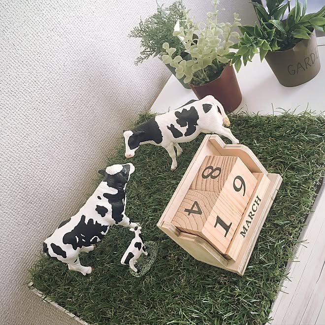 棚 牛 牛柄 100均 一人暮らし などのインテリア実例 17 03 19 09 01 13 Roomclip ルームクリップ