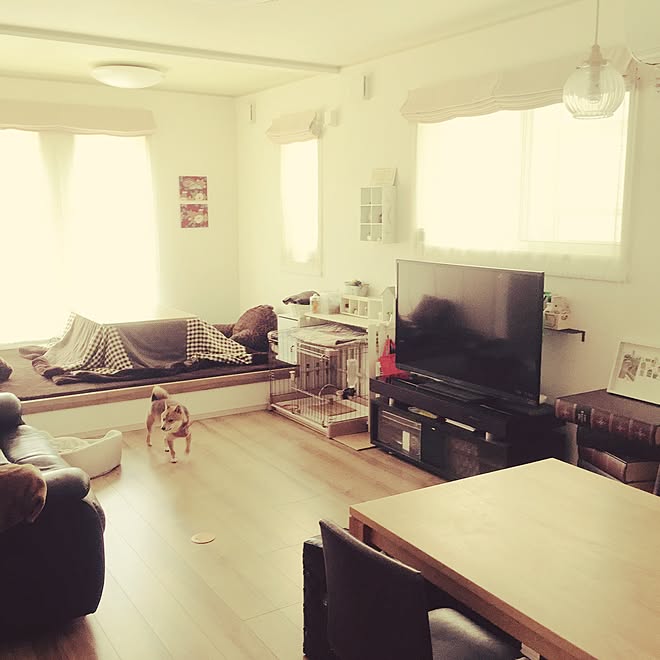 部屋全体 おこた 小上がりの和室 豆柴 ハルくん わんこ などのインテリア実例 15 03 17 12 54 05 Roomclip ルームクリップ