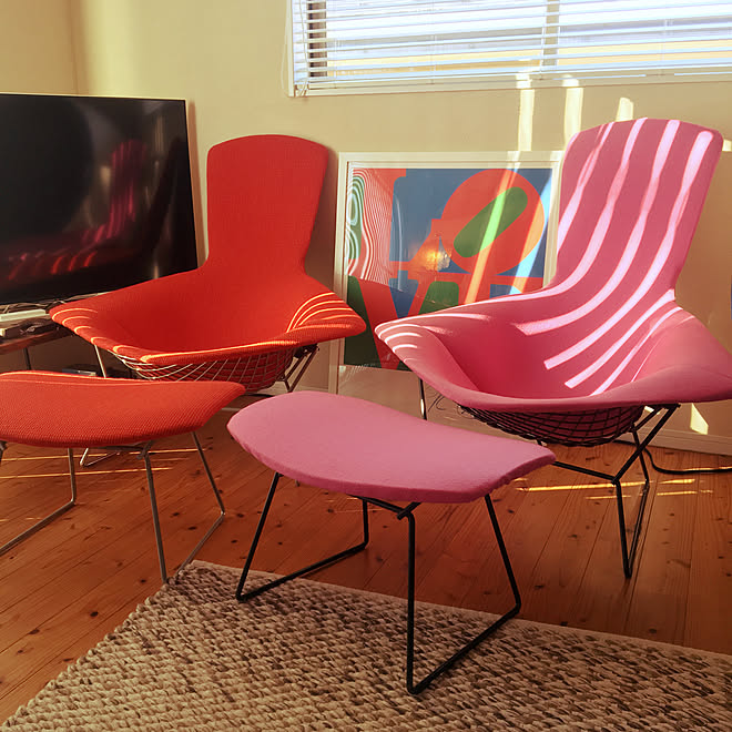 Bertoia 名作椅子 Bird Chair ミッドセンチュリー Mid Century などのインテリア実例 19 04 03 07 18 03 Roomclip ルームクリップ