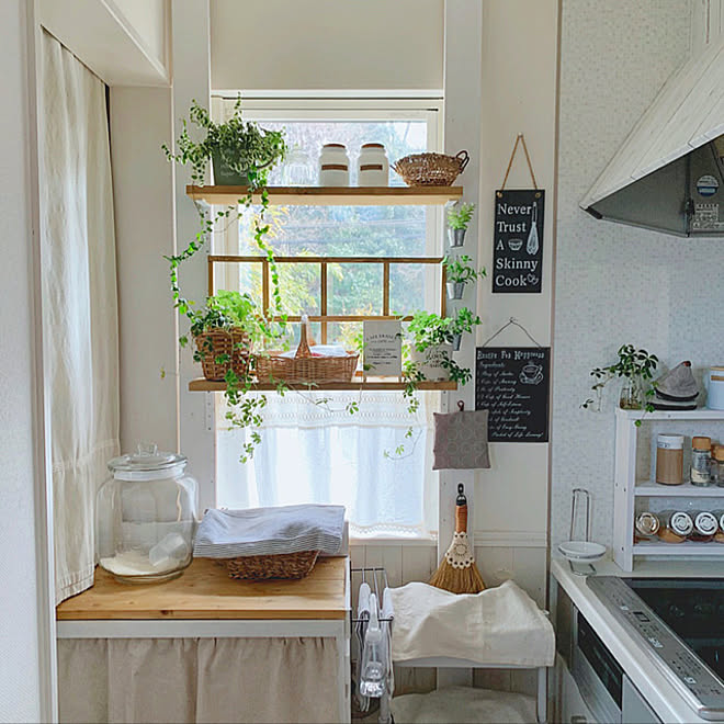 キッチン窓枠 キッチン窓 キッチン窓周り グリーンのある暮らし 観葉植物 などのインテリア実例 22 02 26 10 03 06 Roomclip ルームクリップ