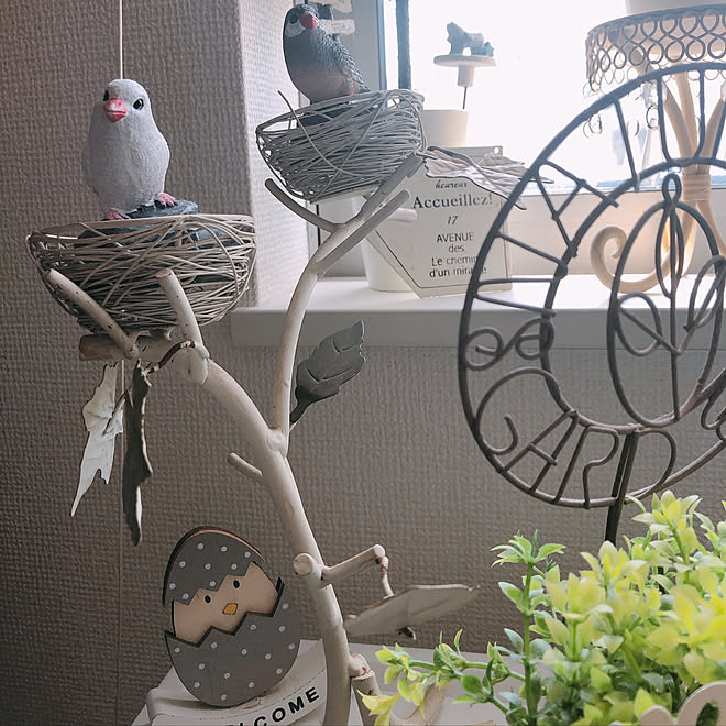 いい感じ♡/可愛い/アイアンの飾り/鳥の飾り物/ダイソー&hellip;などのインテリア実例 20200313 101954