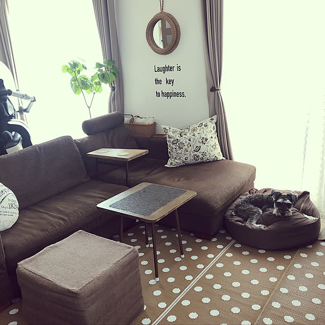 ウンベラータ 犬のいる暮らし 犬と暮らす家 ソファー クッション カフェ風インテリア などのインテリア実例 19 09 13 21 36 57 Roomclip ルームクリップ