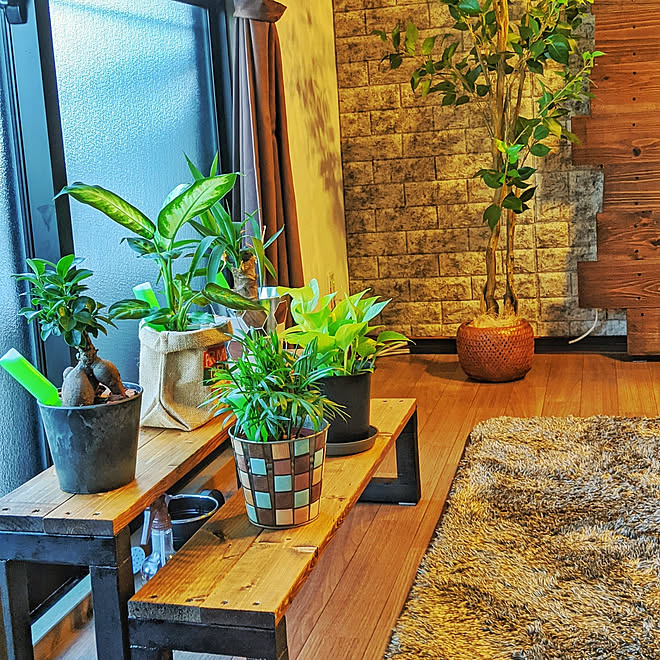棚/DIY/観葉植物/一人暮らし/ナチュラルのインテリア実例 20200816 231154 ｜ RoomClip（ルームクリップ）