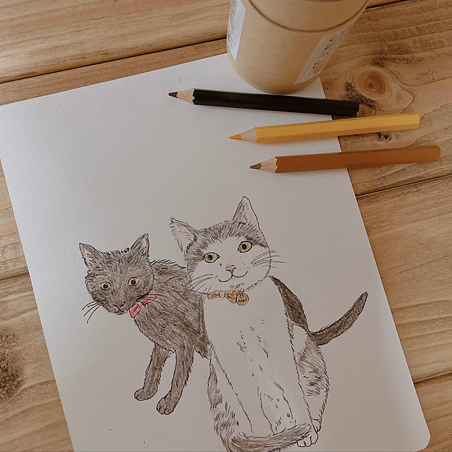 ねこのいる日常 イラスト ねこイラスト 猫好き 白黒猫 などのインテリア実例 21 07 04 21 56 18 Roomclip ルームクリップ