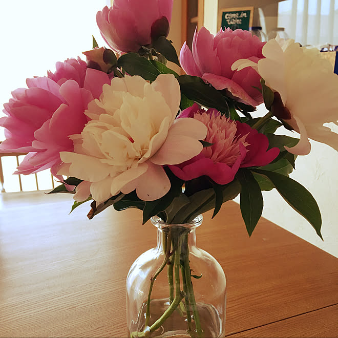 リサイクル あきびん 花瓶がない お花 いただきもの などのインテリア実例 05 08 15 03 19 Roomclip ルームクリップ