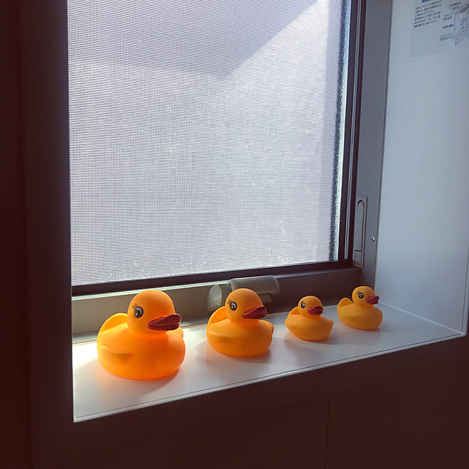 バスルームの窓 赤ちゃんのいる暮らし アヒルちゃん 100均 ダイソー などのインテリア実例 21 09 24 09 07 59 Roomclip ルームクリップ