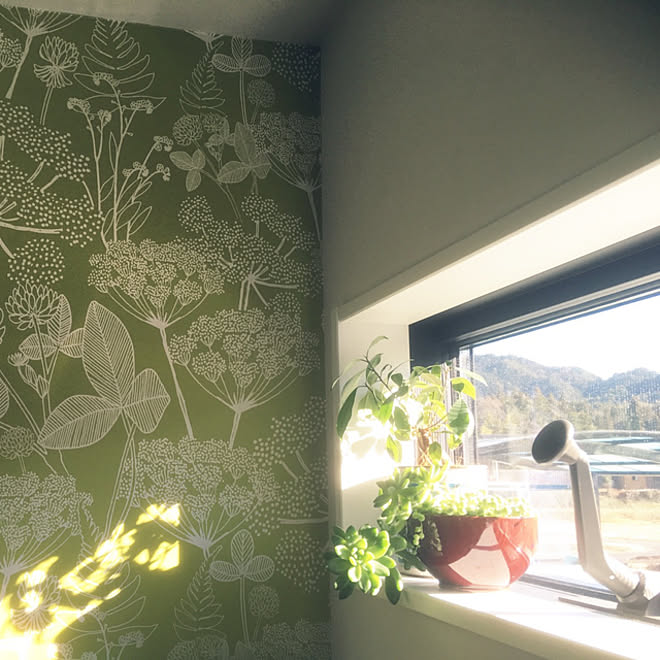 グリーン 壁紙 観葉植物 しんぷる シンプル などのインテリア実例 21 08 21 15 03 03 Roomclip ルームクリップ