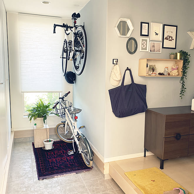 玄関の土間 Botanice 植物のある暮らし コバエ対策 多肉植物 などのインテリア実例 21 05 25 09 24 39 Roomclip ルームクリップ