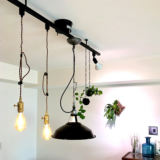 植物育成ライト ダクトレール シェフレラ ポトス 苔玉 などのインテリア実例 12 08 12 23 36 Roomclip ルームクリップ