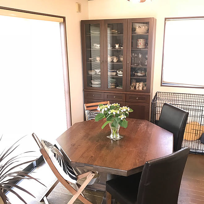 リビング バリケンネル ドラセナレッドスター ブラインド 八角形テーブル などのインテリア実例 18 06 02 08 23 Roomclip ルームクリップ リビング バリケンネル ドラセナレッドスター ブラインド 八角形テーブル などのインテリア実例 18 06 02 08 23 Roomclip ルームクリップ