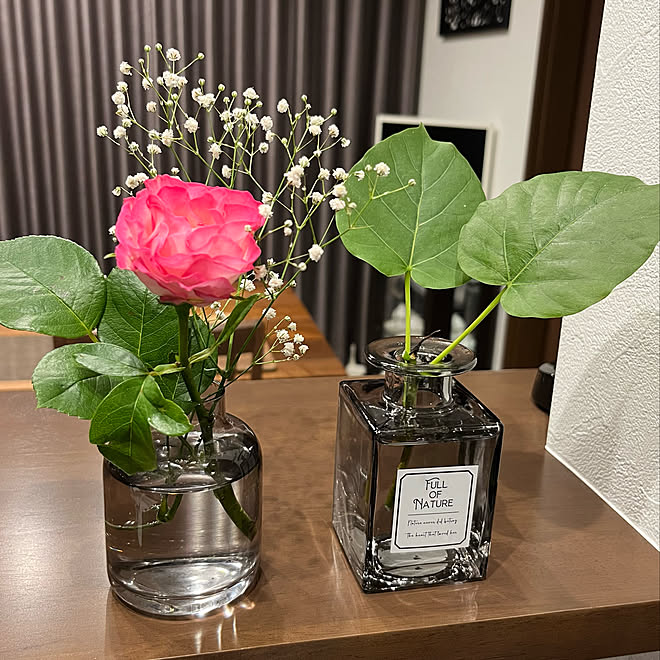 ウンベラータ水挿し ウンベラータ 心地よい暮らし ほったらかしでも咲く ほぼ野生 などのインテリア実例 22 05 18 13 15 43 Roomclip ルームクリップ ウンベラータ水挿し ウンベラータ 心地よい暮らし ほったらかしでも咲く ほぼ野生 などのインテリア実例 22 05 18 13 15 43 Roomclip ルームクリップ