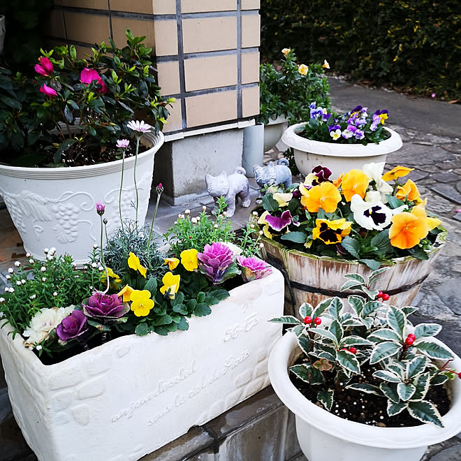 玄関/入り口/冬支度/寄せ植え/季節の花/葉牡丹&hellip;などのインテリア実例 20191228 075100 ｜ RoomClip