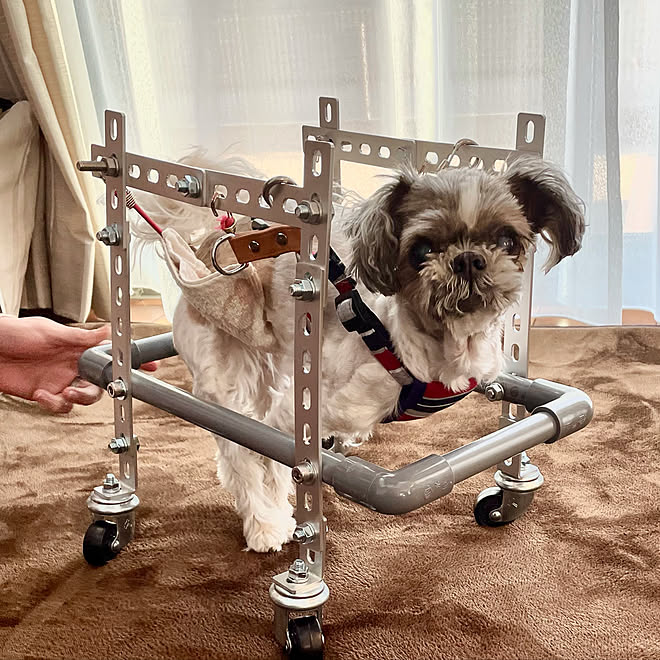 介護 歩行器 いぬと暮らす Diy 手作り などのインテリア実例 21 01 30 22 17 38 Roomclip ルームクリップ