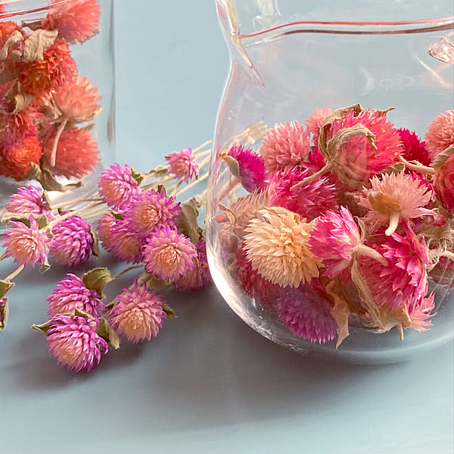 ドライフラワー 千日紅ドライ いつもありがとうございます 花のある暮らし 千日紅 などのインテリア実例 21 08 01 15 49 11 Roomclip ルームクリップ