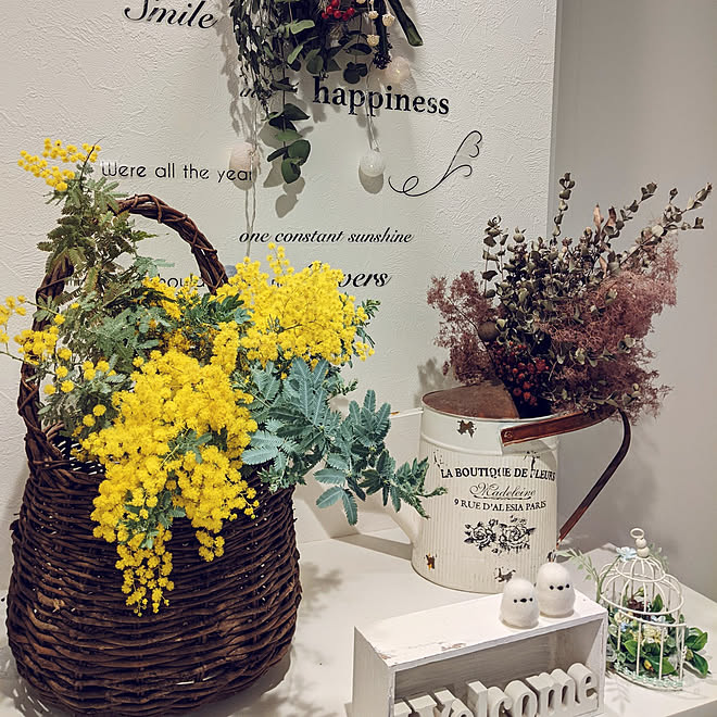 玄関 入り口 庭の花 ミモザ ミモザの日 マンションの庭 などのインテリア実例 21 03 09 19 17 54 Roomclip ルームクリップ