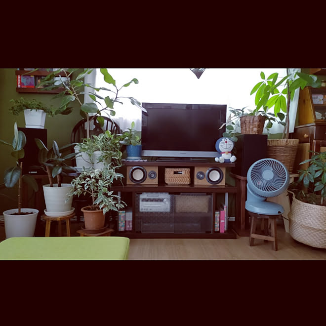 リビング 観葉植物 ペイント壁 竹炭塗料 テレビ台 などのインテリア実例 22 08 11 11 12 Roomclip ルームクリップ