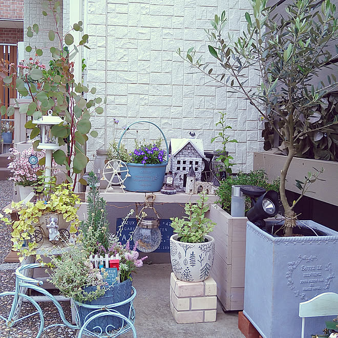 玄関 入り口 オリーブの鉢植え 観葉植物 庭 ガーデニング などのインテリア実例 22 05 09 16 52 03 Roomclip ルームクリップ