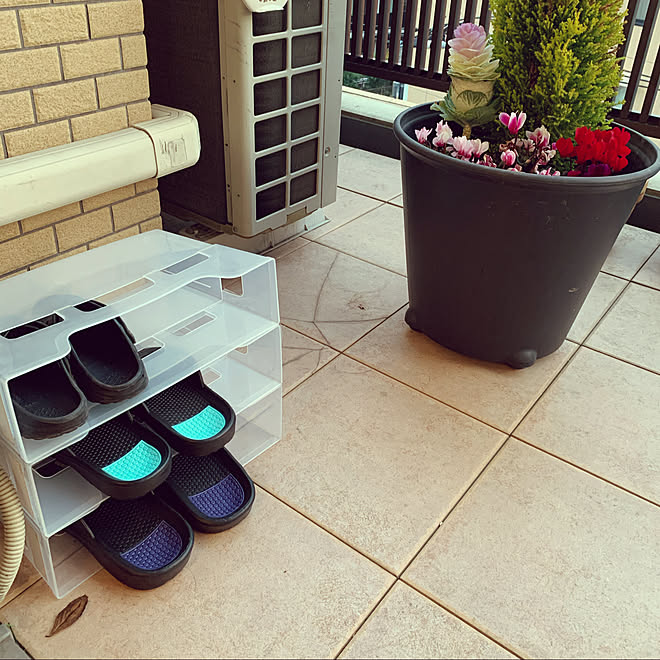 ガーデンシクラメン コニファー寄せ植え 寄せ植え ベランダサンダル ベランダサンダル収納 などのインテリア実例 21 02 08 11 34 39 Roomclip ルームクリップ