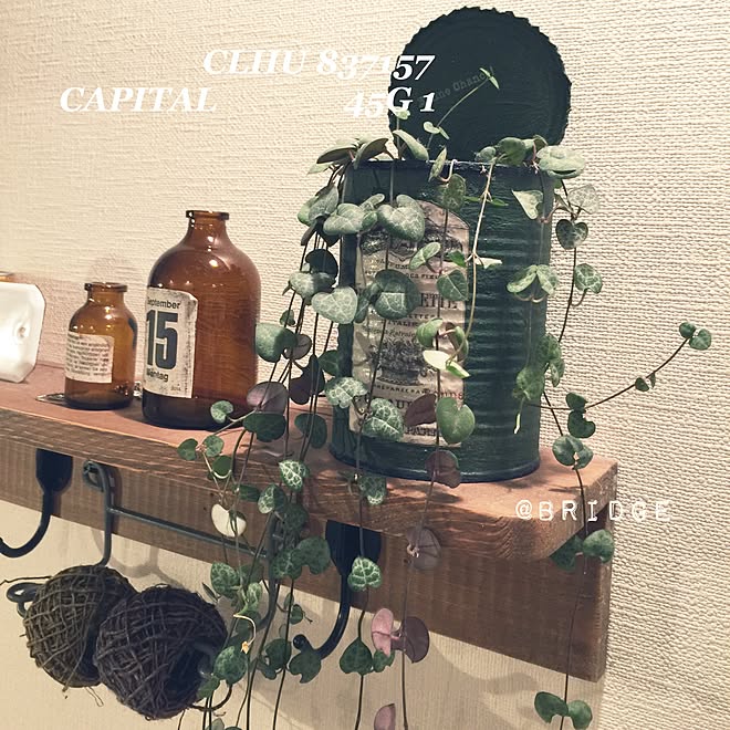 部屋全体/ハートカズラ/春はすぐそこ/急に 伸びたよね?…/DIY...などのインテリア実例 - 2016-03-16 08:37:15