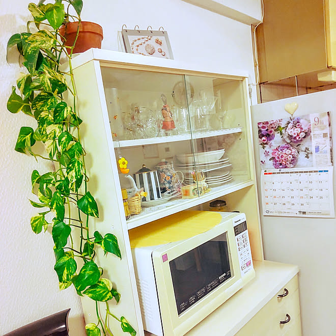 キッチン ありがとう ポトス 植物のある暮らし 鬼門に観葉植物 のインテリア実例 21 09 13 22 51 53 Roomclip ルームクリップ キッチン ありがとう ポトス 植物のある暮らし 鬼門に観葉植物 のインテリア実例 21 09 13 22 51 53 Roomclip ルームクリップ