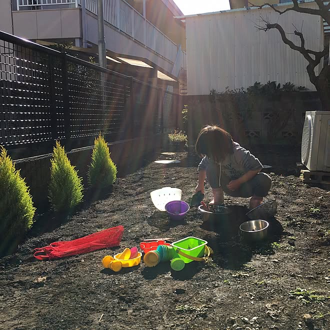 玄関 入り口 コニファー ウィルマ Ikea 庭のインテリア実例 17 01 11 13 33 22 Roomclip ルームクリップ