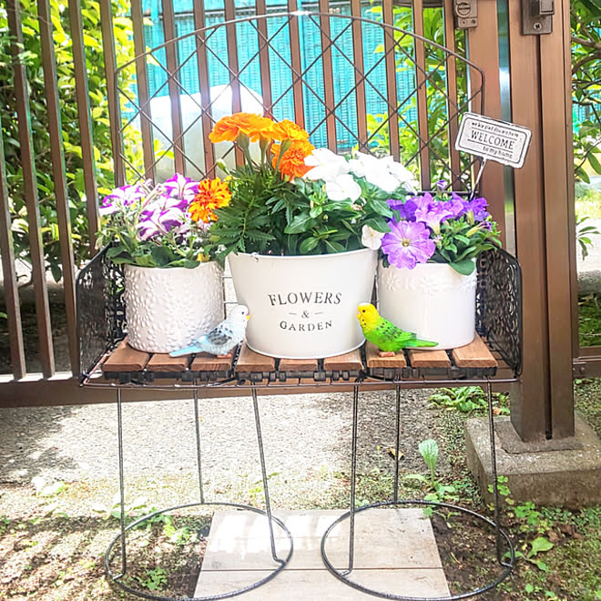 玄関 入り口 コレ Diyしたよ 植木鉢置きdiy 簡単diy フラワースタンドdiy などのインテリア実例 21 05 08 13 40 13 Roomclip ルームクリップ