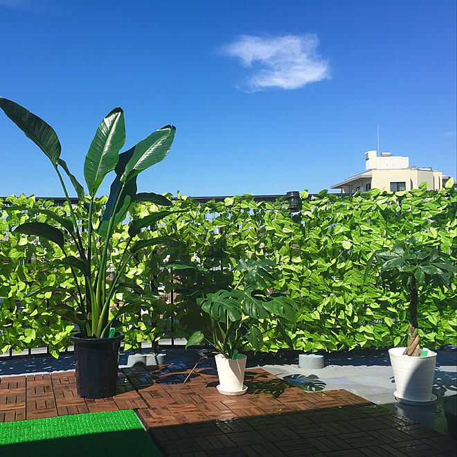 観葉植物 Ikea フェイクグリーン ガーデニング 庭のインテリア実例 21 04 01 00 21 43 Roomclip ルームクリップ 観葉植物 Ikea フェイクグリーン ガーデニング 庭のインテリア実例 21 04 01 00 21 43 Roomclip ルームクリップ
