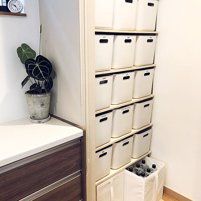 ロールスクリーンで目隠し Lixilキッチン Ikea 無印良品 パントリー などのインテリア実例 10 12 11 52 34 Roomclip ルームクリップ ロールスクリーンで目隠し Lixilキッチン Ikea 無印良品 パントリー などのインテリア実例 10 12 11 52 34 Roomclip ルームクリップ