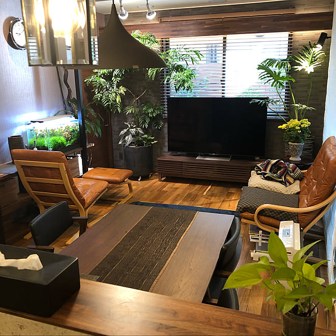 冨士ファニチア 積水ハウスリフォーム東日本 観葉植物 パナソニック 部屋全体 などのインテリア実例 19 12 12 05 44 28 Roomclip ルームクリップ