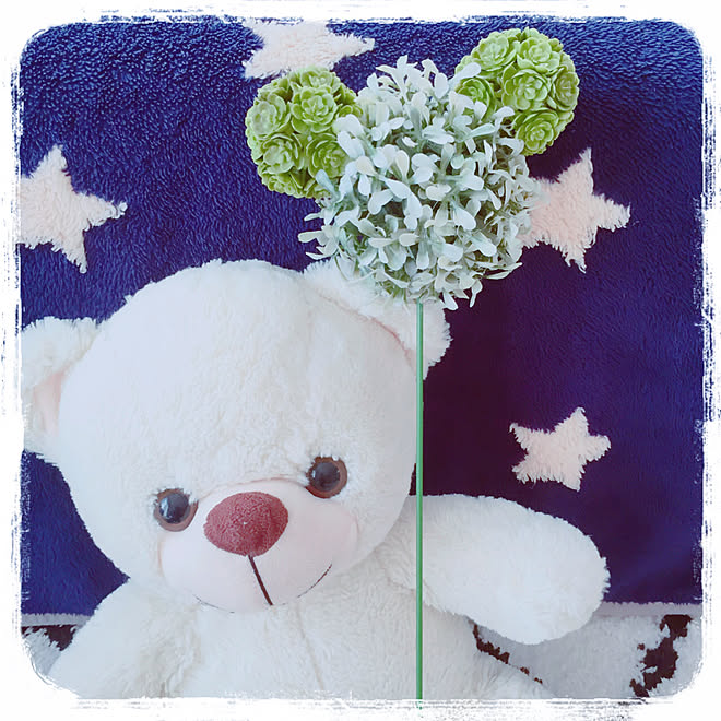 園芸用支柱/いつもいいねやコメありがとうございます♡/いつもありがとうございます♪感謝☆/いつもいいね!押し逃げごめんなさい/レモンという100均...などのインテリア実例 - 2019-11-20 07:44:47