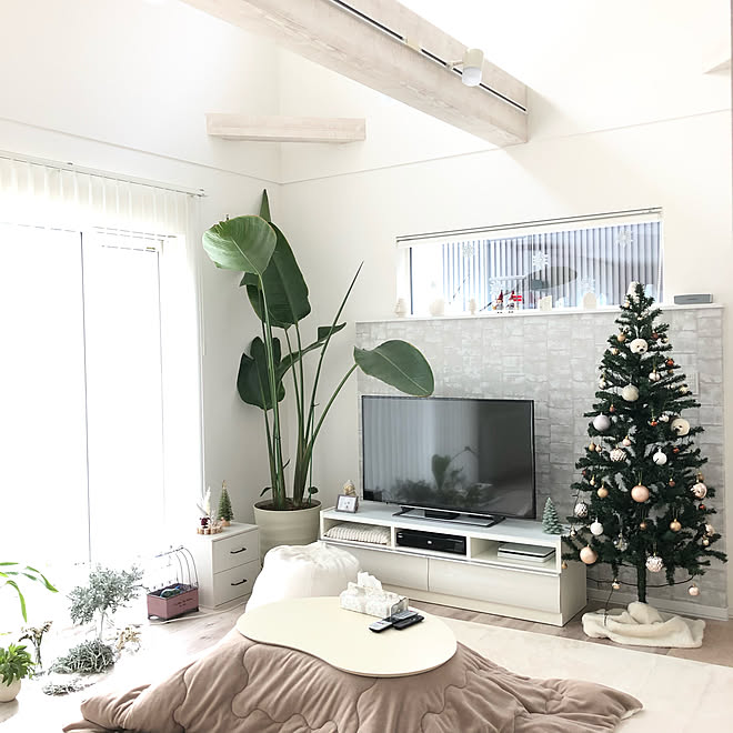 ノルディカニッセ クリスマスツリー 観葉植物 こたつのある部屋 オーガスタ などのインテリア実例 21 11 24 17 55 14 Roomclip ルームクリップ