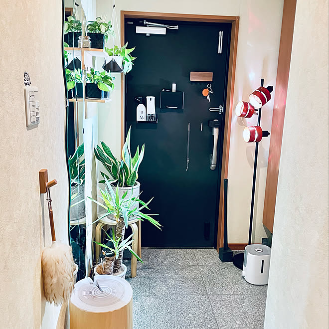 玄関インテリア マンションインテリア いいね ありがとうございます マンション暮らし お気に入り などのインテリア実例 22 04 04 08 27 21 Roomclip ルームクリップ
