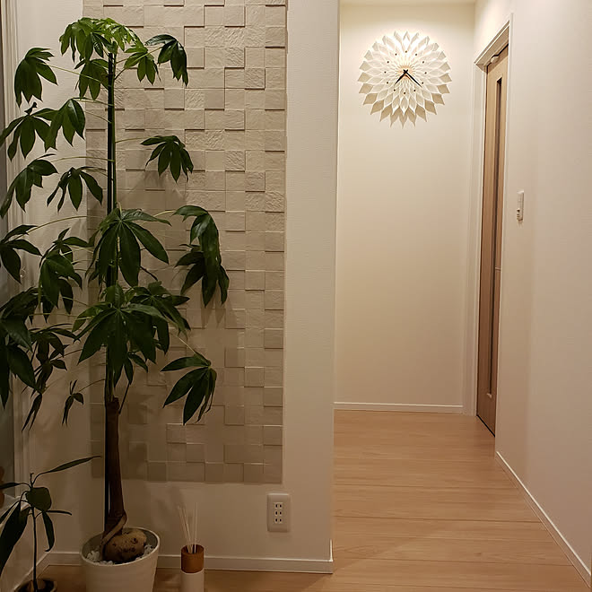 玄関 入り口 時計 エコカラット 観葉植物のインテリア実例 18 10 10 19 25 58 Roomclip ルームクリップ