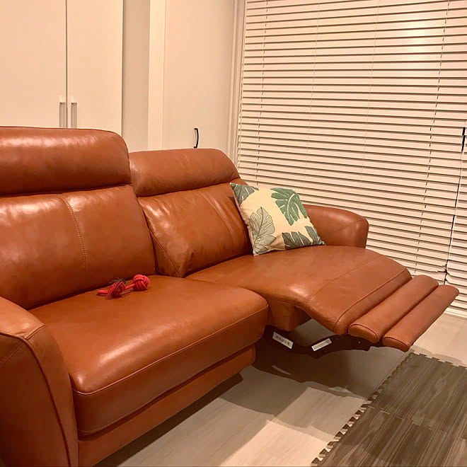 犬のいる暮らし 本革ソファ 実家編 リノベーション住宅 リビング などのインテリア実例 08 27 19 27 53 Roomclip ルームクリップ