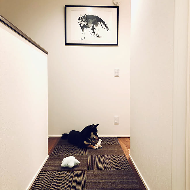 ワンコと暮らす家 廊下 茶色のカーペット ワンコ仕様 タイルカーペット カインズホーム などのインテリア実例 19 11 05 18 38 50 Roomclip ルームクリップ