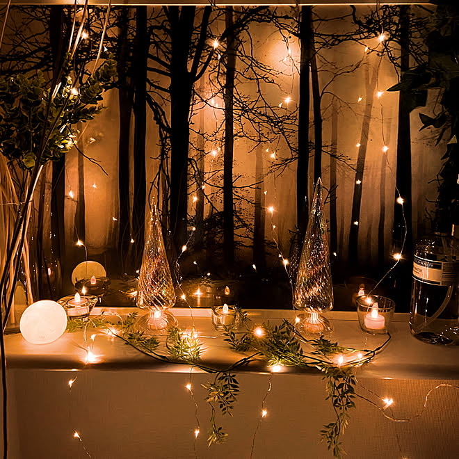 フェアリーライト/SalyuのLEDライト/ガラスのキャンドルホルダー/フェイクグリーン/Francfranc...などのインテリア実例