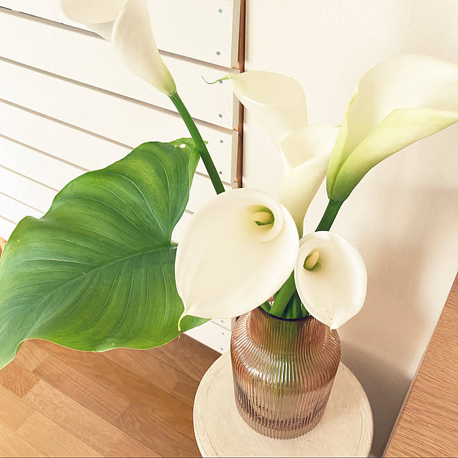 生花を飾る 花瓶 カラー フラワーベース わんこのいる暮らし などのインテリア実例 22 04 07 19 27 55 Roomclip ルームクリップ